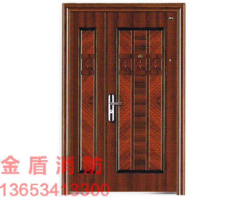 防火入戶門